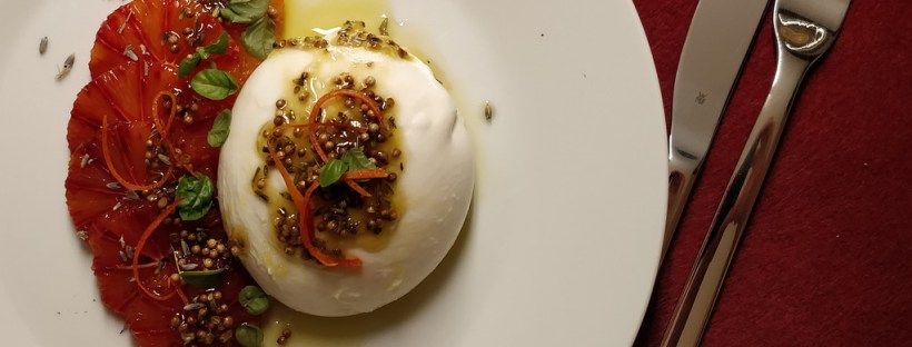 Burrata mit Blutorange, Koriander und Lavendelöl